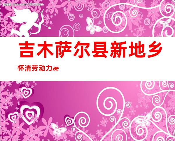 吉木萨尔县新地乡怀清劳动力服务专业合作社